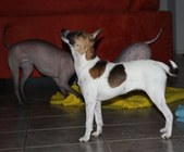 Enlarge photo 3