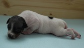 Enlarge photo 3