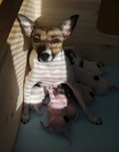 Enlarge photo 4