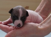 Enlarge photo 3