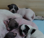 Enlarge photo 4