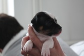 Enlarge photo 5