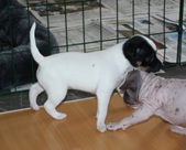 Enlarge photo 7