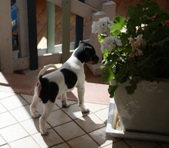 Enlarge photo 12