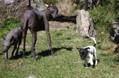Enlarge photo 15