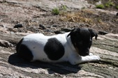 Enlarge photo 13