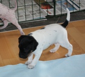 Enlarge photo 9