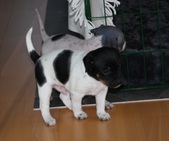 Enlarge photo 10