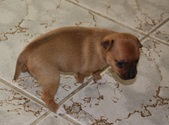 Enlarge photo 11