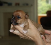 Enlarge photo 9