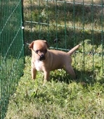 Enlarge photo 13