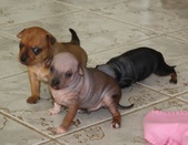 Enlarge photo 13