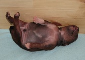 Enlarge photo 7