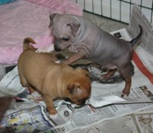 Enlarge photo 22