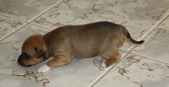 Enlarge photo 13