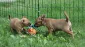 Enlarge photo 24