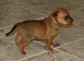 Enlarge photo 20