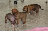 Enlarge photo 19