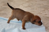 Enlarge photo 14