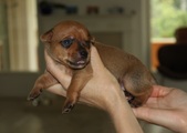 Enlarge photo 12