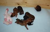 Enlarge photo 10