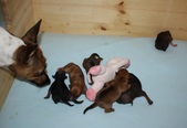 Enlarge photo 11