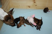 Enlarge photo 12
