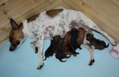 Enlarge photo 13