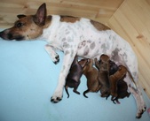 Enlarge photo 15
