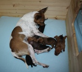 Enlarge photo 17