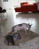 Enlarge photo 8