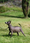 Enlarge photo 7