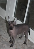 Enlarge photo 12