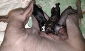Enlarge photo 15