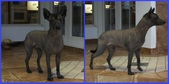 Enlarge photo 12