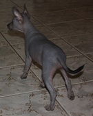 Enlarge photo 7