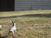 Enlarge photo 18