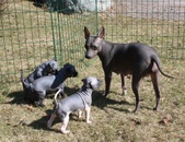Enlarge photo 22