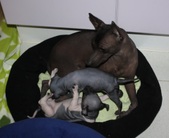 Enlarge photo 23