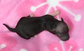 Enlarge photo 3