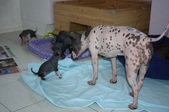 Enlarge photo 19