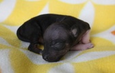 Enlarge photo 5