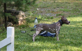 Enlarge photo 14
