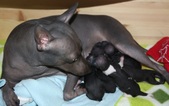 Enlarge photo 2