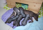 Enlarge photo 22