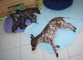 Enlarge photo 23