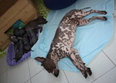 Enlarge photo 24