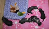 Enlarge photo 11