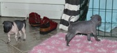 Enlarge photo 9