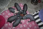 Enlarge photo 22